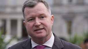 Post-colonial museums should return ‘plunder’ to Ireland, minister says
