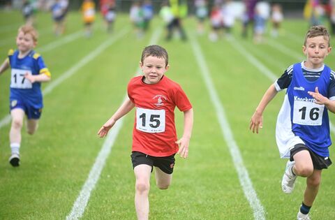 Local Notes: Card Drive Winners, Mobile Library, Holy Well Mass