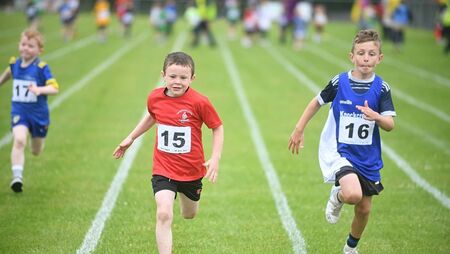 Local Notes: Card Drive Winners, Mobile Library, Holy Well Mass