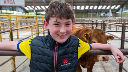 Latest News: Amenity Grants, Pop Up Gaeltacht, House Calls