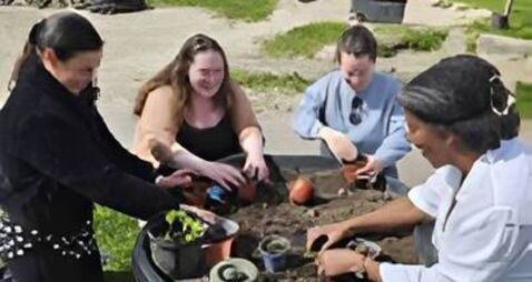 ‘Let Me Be Outside’ campaign underway in County Roscommon 