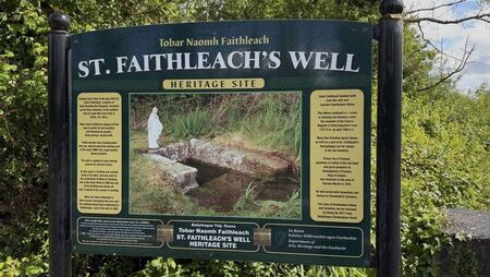 Ancient remedies still flow at local holy wells