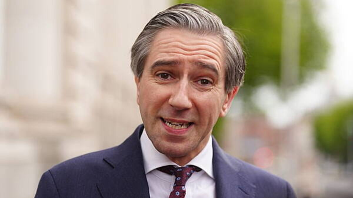 'Frustrated' Simon Harris announces new derelict sites tax to be administered by Revenue
