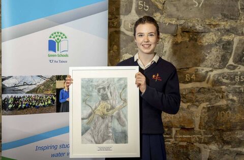 National award for County Roscommon student