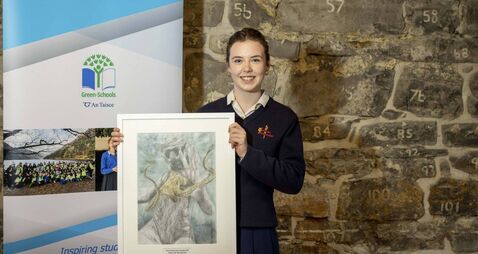National award for County Roscommon student