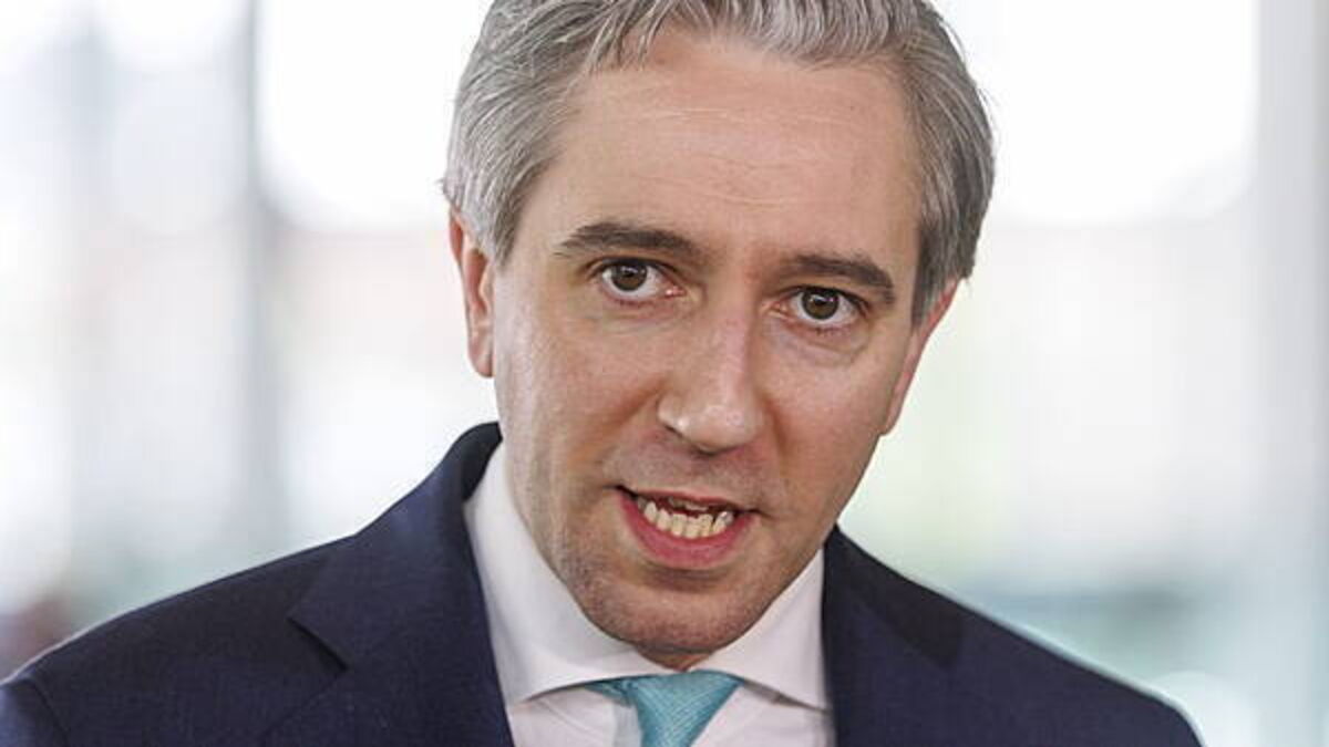 Short-term lets register ‘took longer than it should have’, Tánaiste says