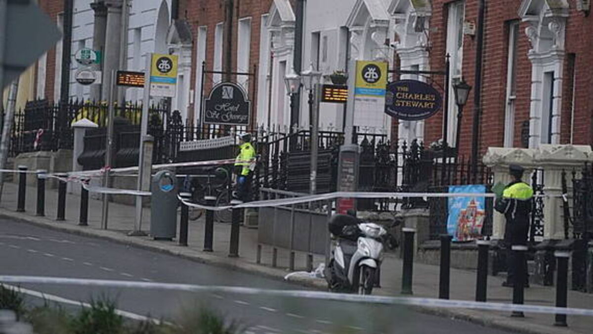 Man describes punching Parnell stabbing suspect to save children