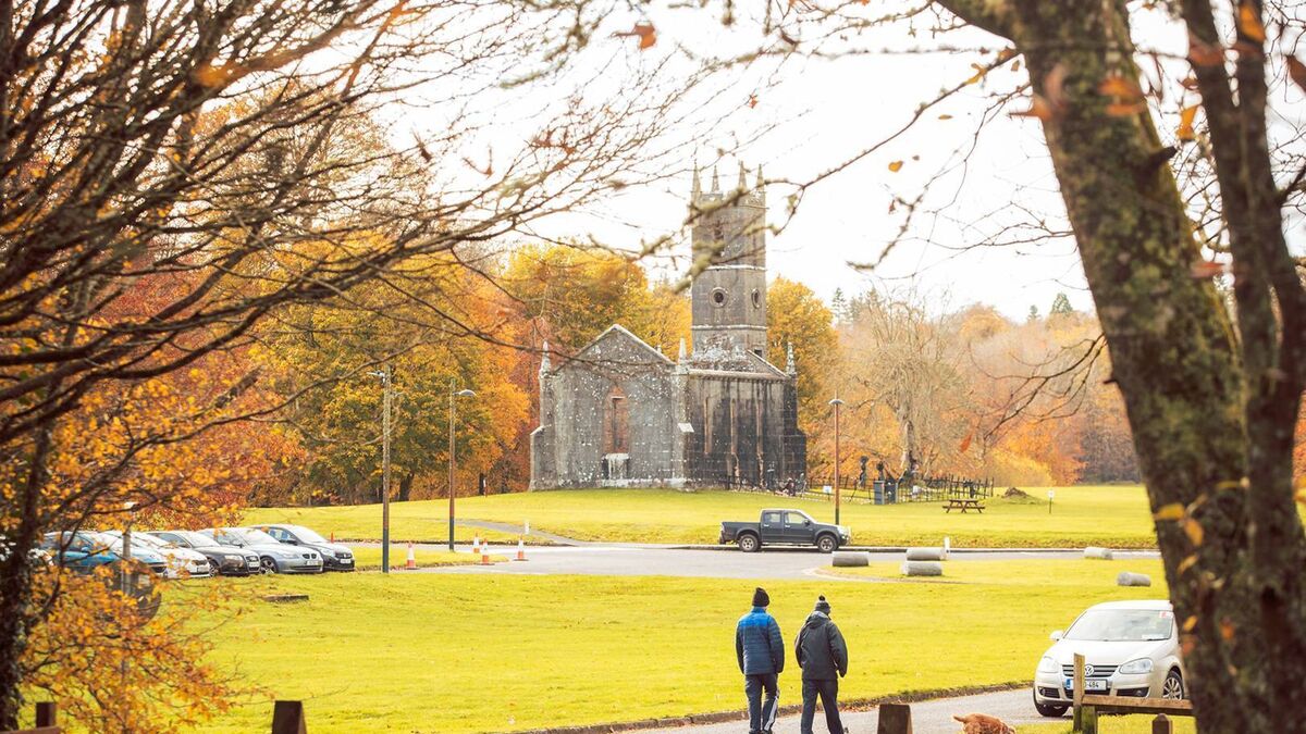 Coillte welcomes greenlight for Lough Key development