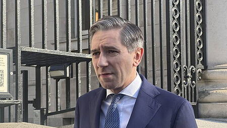 Action taken to stop hospital consultant ‘nixers’ immediately – Tánaiste