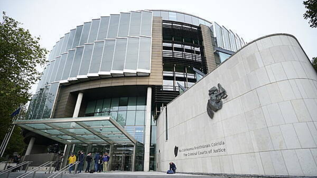 Amateur fighter who 'brutally killed' allegedly abusive mother jailed for 6.5 years