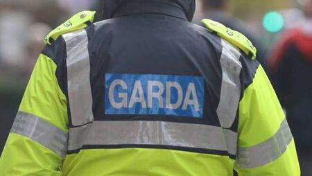 Reported arson attack on County Roscommon home