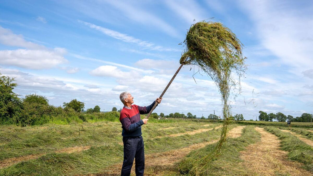 Pic of the week: Making hay while the sun shines