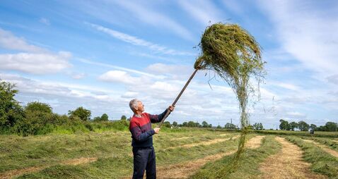 Pic of the week: Making hay while the sun shines