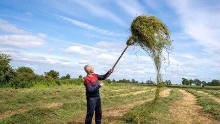 Pic of the week: Making hay while the sun shines