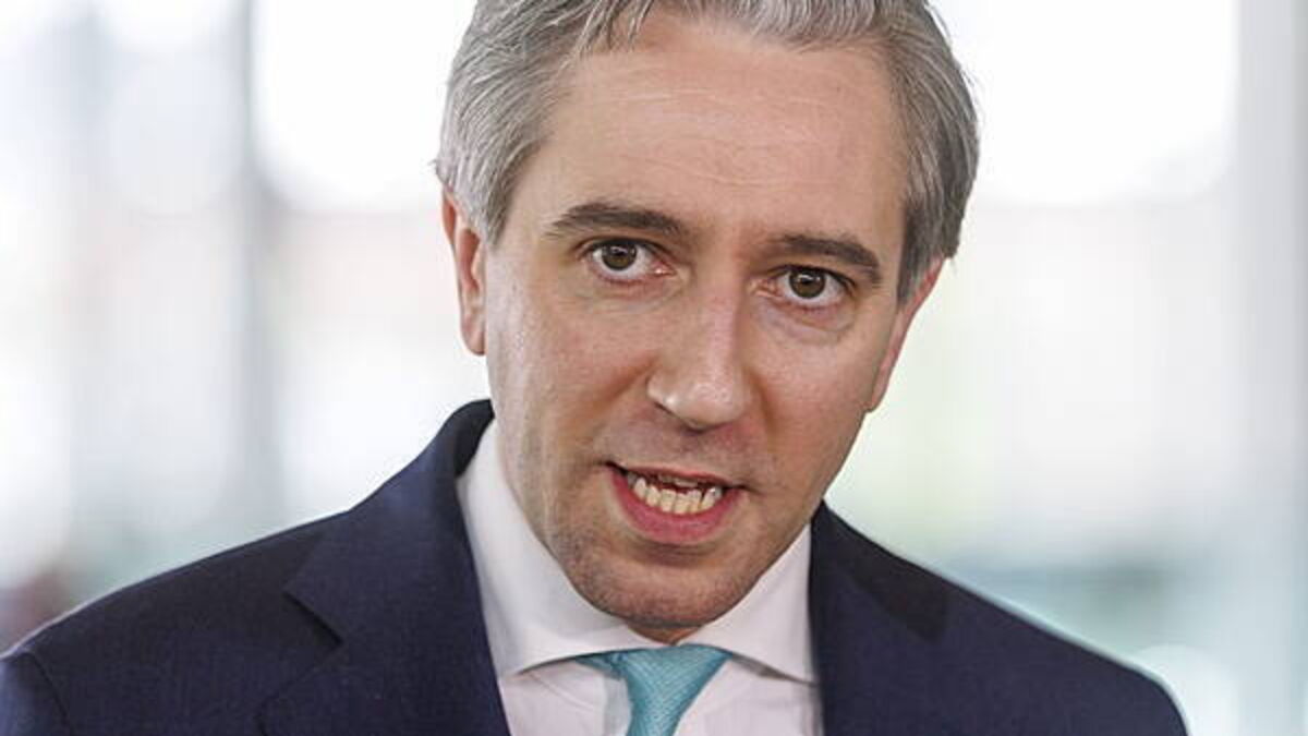 Security during EU presidency ‘taken extremely seriously’, Tánaiste says
