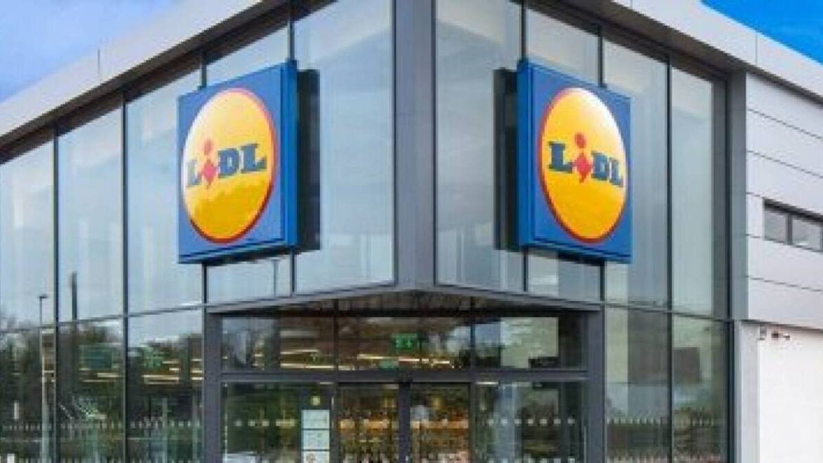 Further information sought on plans for Lidl store in Roscommon Town