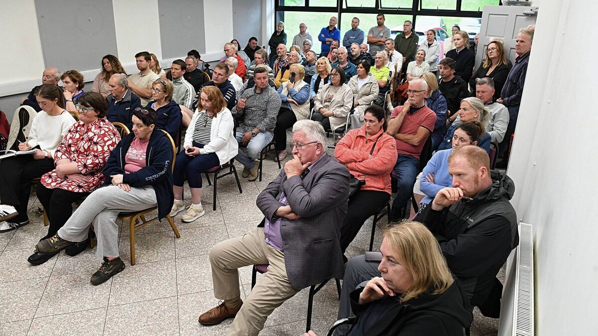 Public meeting endorses proposed new Lidl store for county
