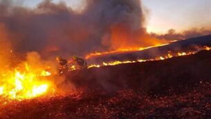 <p>A Status Orange high forest fire risk warning has been issued.</p>