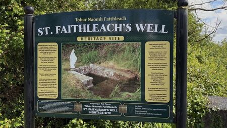 Watch: Traditional cures still run deep at local Holy Wells