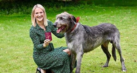 Wolfhound features on new ‘unmistakably Irish’ passport