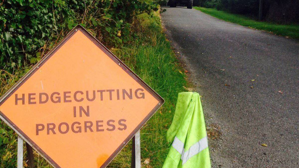 Council to tackle hazardous hedge growth to ensure road safety