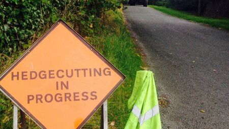 Council to tackle hazardous hedge growth to ensure road safety