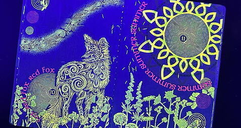 New UV artwork in Irish passport with increased security