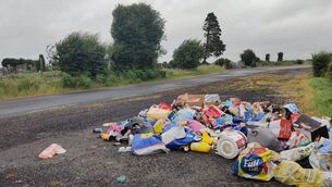 <p>Anger over fly tipping in Moore, South Roscommon. </p>