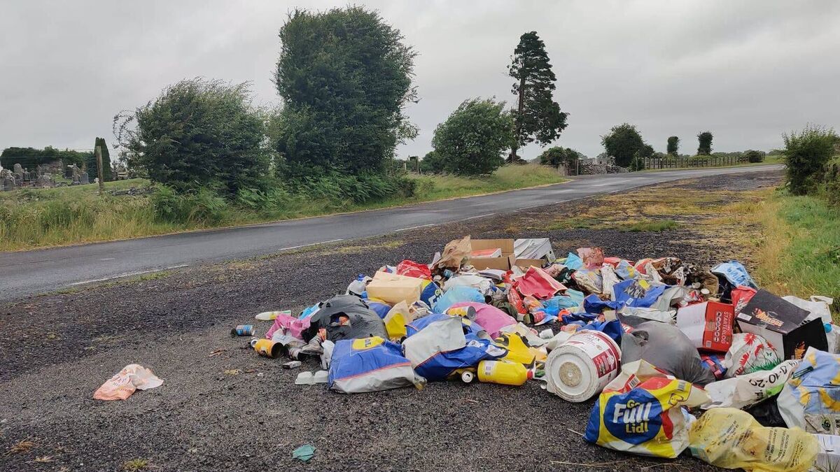Council investigating illegal dumping in the county