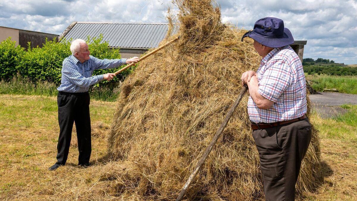 County Roscommon men demonstrate how to build and secure a traditional cock of hay