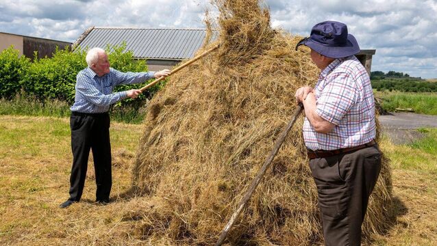 <p>Paddy O'Connor and Christy Rogers from Ballinagare demonstrate how a cock of hay is built. Pic: Breda Durr</p>