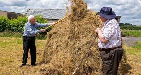 County Roscommon men demonstrate how to build and secure a traditional cock of hay 