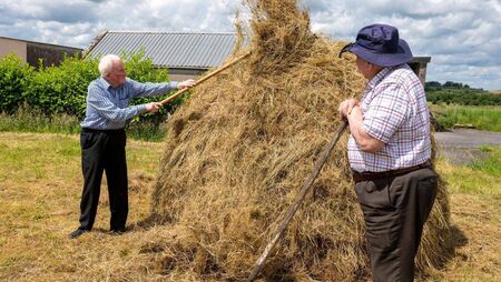 County Roscommon men demonstrate how to build and secure a traditional cock of hay 