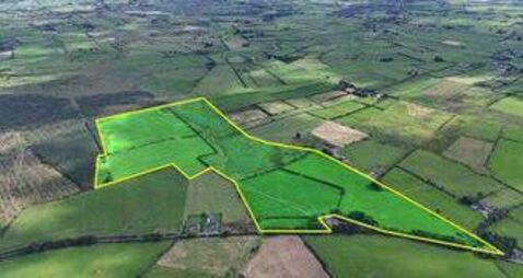 Substantial 92-acre County Roscommon farm on the market