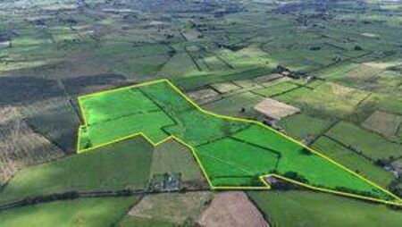Substantial 92-acre County Roscommon farm on the market