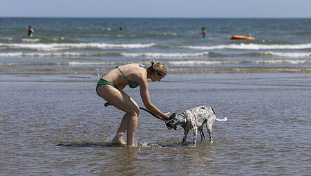 Hot weather advisory extended until late next week