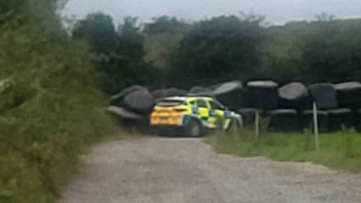 Department of Agriculture carries out ‘enforcement operation’ on County Roscommon farm