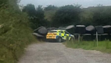 Department of Agriculture carries out ‘enforcement operation’ on County Roscommon farm