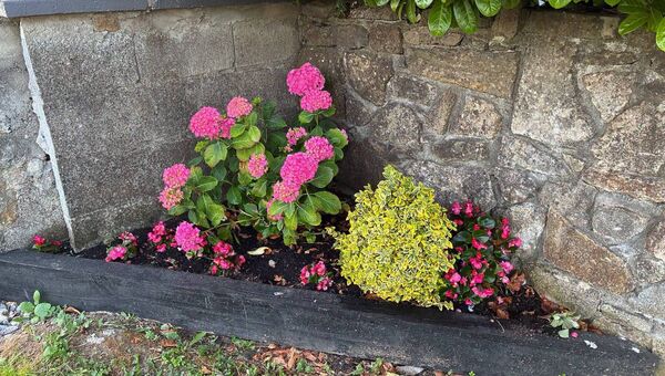 A number of plants were stolen from the flower beds. Pic: Roscommon Tidy Towns A number of plants were stolen from the flower beds. Pic: Roscommon Tidy Towns