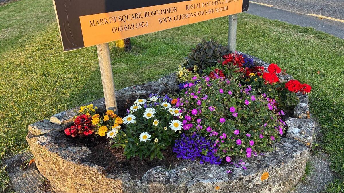 Tidy Towns group shocked as flowers are stolen