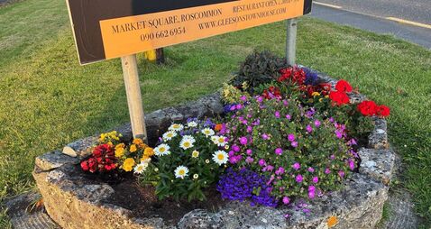 Tidy Towns group shocked as flowers are stolen