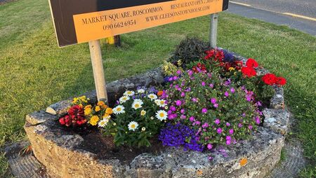Tidy Towns group shocked as flowers are stolen