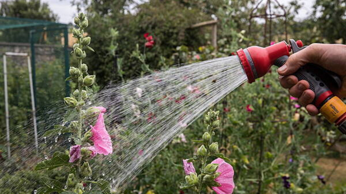 What is a hosepipe ban? How does it affect me?