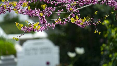 Graveyard caretakers get 'a mere €10 per week'