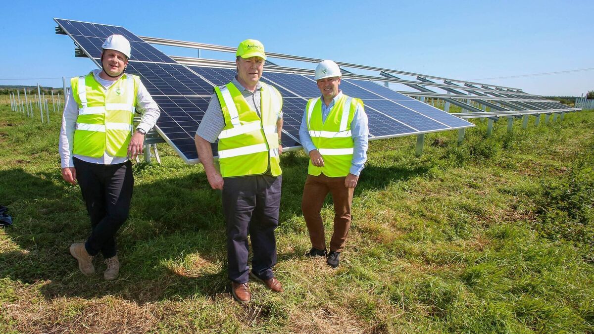 Construction underway on €5m solar farm in County Roscommon