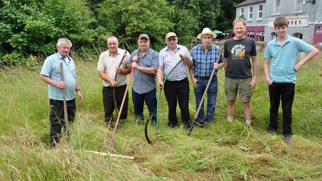<p>Mike Ryan, Padraig Hussey, Dick Thompson, John Hopkins, Martin Conroy, Brian Kranzler and Darragh Conroy cutting the traditional way at the Ballintubber Heritage Week last year. Pic. Liam Reynolds</p>
