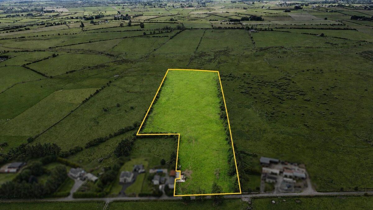 County Roscommon land holding with extensive road frontage on the market for €35,000
