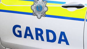 Former Dublin retail worker pleads guilty over €620k cannabis seizure at Shannon Airport Former Dublin retail worker pleads guilty over €620k cannabis seizure at Shannon Airport