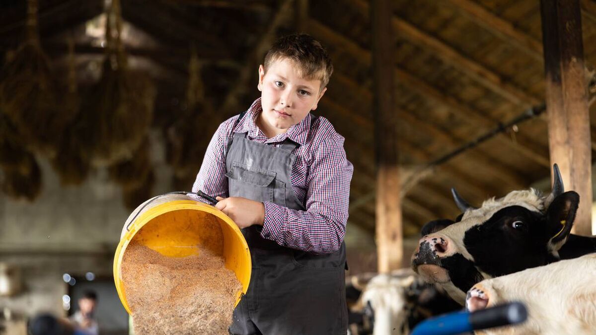 County Roscommon children needed to play role of Seání in new advertising campaign