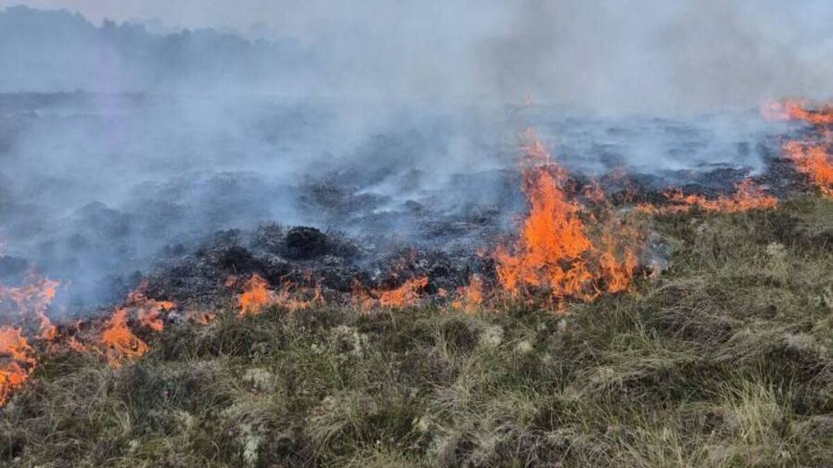 Fire breaks out on County Roscommon bog